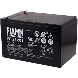 Batterie au Plomb Lead-Acid 12V FIAMM Batterie de Remplacement USV APC Back-UPS CS 500 