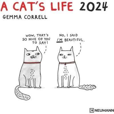 Calendrier Bd Dessin Humour Chat 2024 Bd Cat'S Life (Tn) + Offert Un Agenda  De Poche[H2351] - Cdiscount Beaux-Arts et Loisirs créatifs