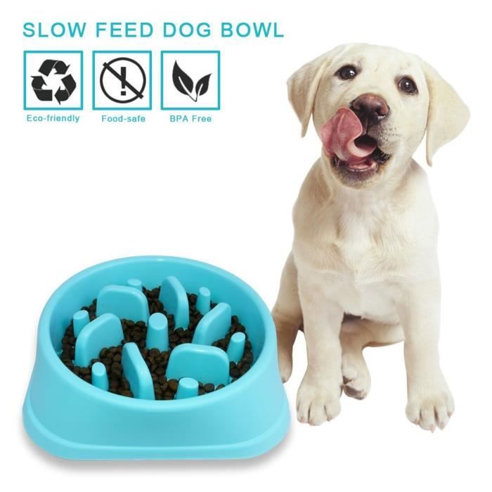 ePeTop Gamelle pour Chiens Anti Glouton - Bleu