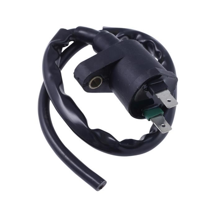 Bobine d'allumage 12V 2EXTREME pour SACHS Speedjet 50cc, R, RS, SX 1, TAURIS Capri, Cubana, Fiera, xtreme