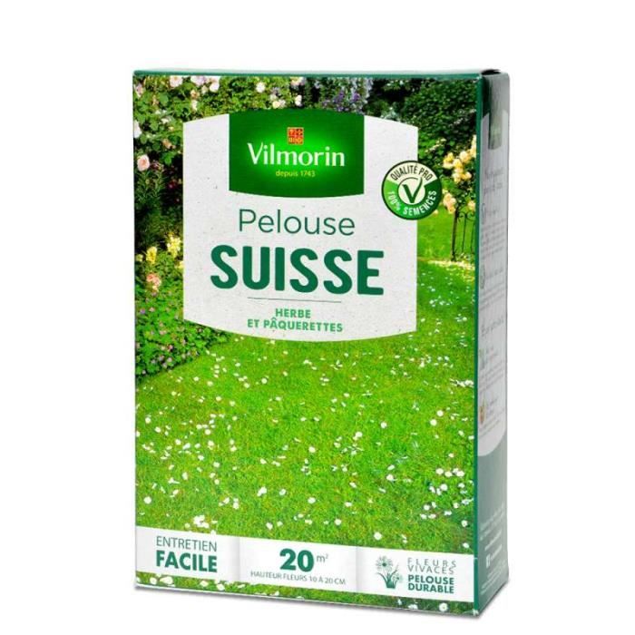 Pelouse fleurie suisse, gazon et pâquerettes. 20 m²