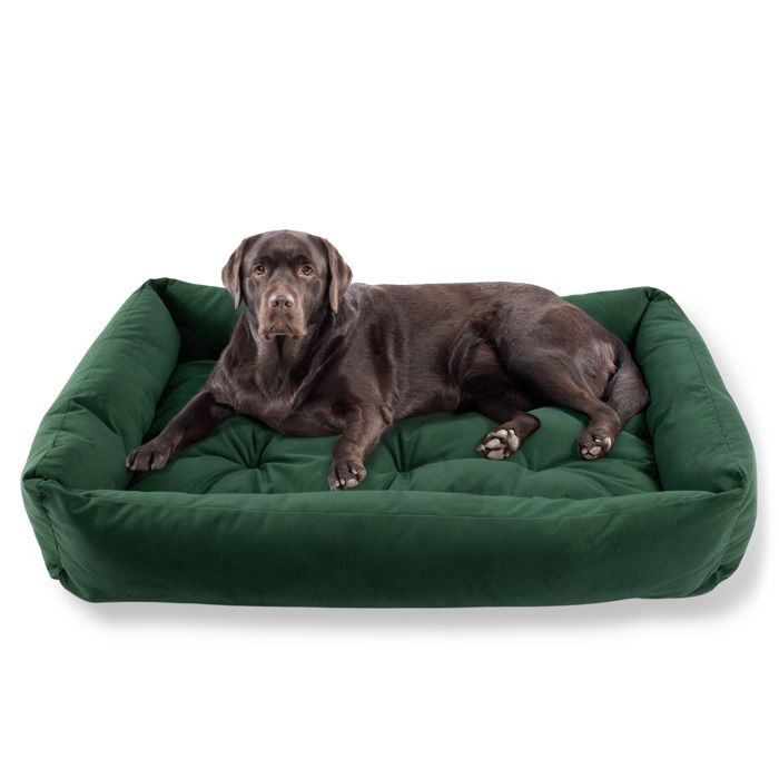 Meilleurs prix pour Lit pour Chien Panier Coussin Canapé L 120x80 cm Grande Taille Vert Velours Velvet PET ZEN Lavable