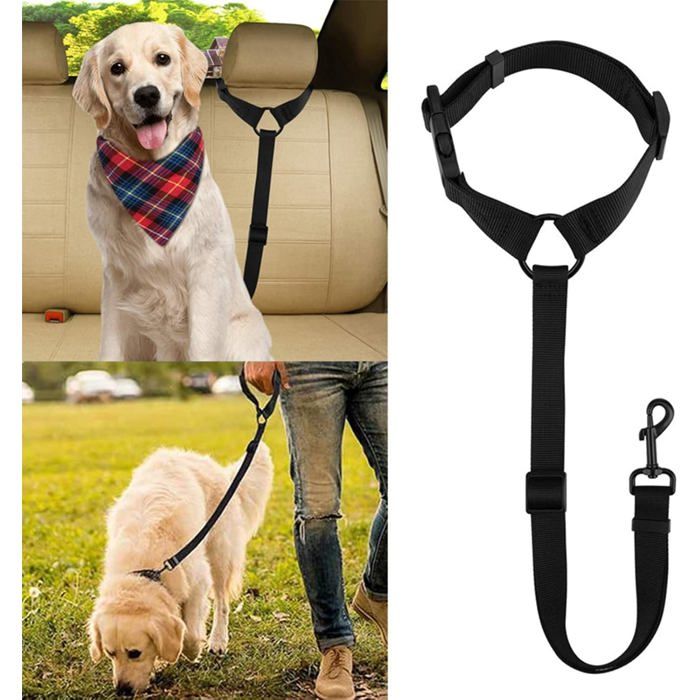 Harnais De Voiture Pour Chien - 2 Laisses Sécurisées, Réglables 45-80 Cm, Avec Absorption Des Chocs Et Double Fixation