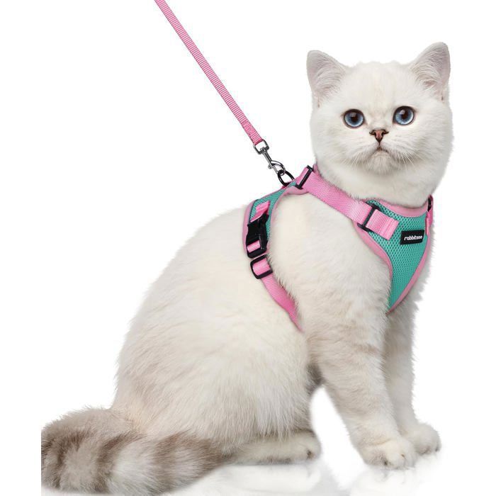 Meilleurs prix pour Rabbitgoo Harnais Chat Laisse Pour Chat Harnais Pour Petit Chien Souple et Réglable Veste Bandes Réfléchissantes Vert et Rose XS