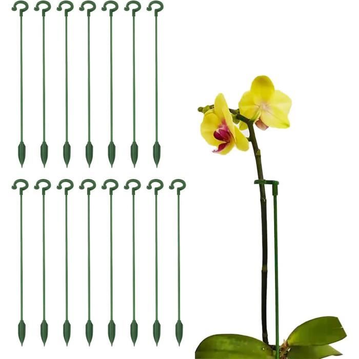 Tuteur Plante - 15 Bâtons de Support - 27cm Piquets - Fixation Croissance Plantes