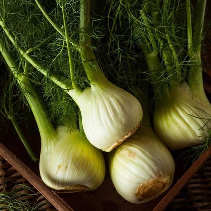 100 Graines De Figues Fraîches - Pour Plantation, Jardin, Balcon - Paquet De Graines (pas De Plantes Vivantes)