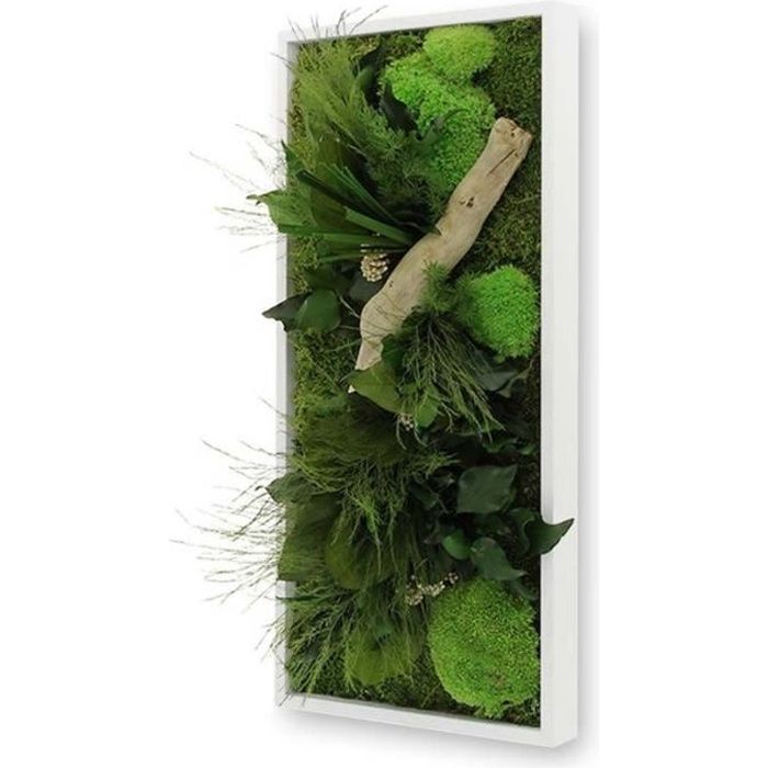 20 x Bois Tableau craie tableau plantes panneaux plantes Connecteur Tableau Panneaux 
