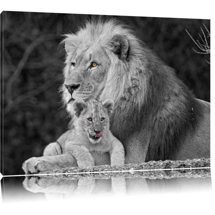 Toile Imprime Amour Calins Lion Avec Le Jeune Noir Blanc Completement Encadrees Avec Civiere Wall Art Print Sur Le Cadreforma Cdiscount Maison