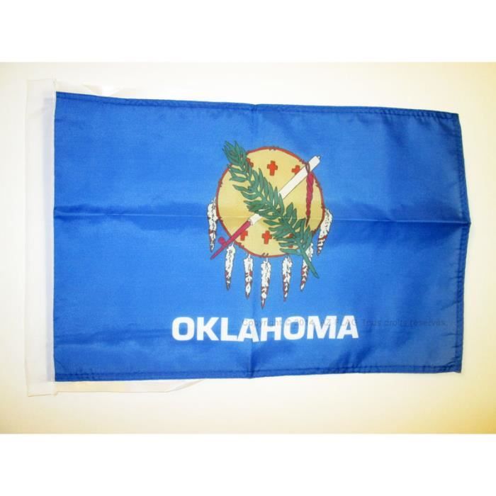 Drapeau De Voiture Texas 45x30cm – AZ FLAG – Carflag Texan USA