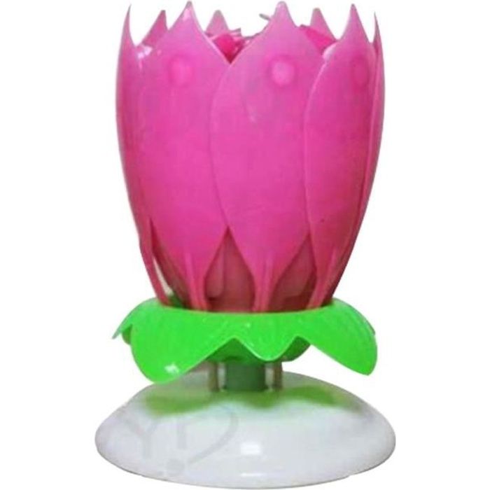 Fete De La Mode Fleur De Lotus Gateau D Anniversaire Musique Decorative Bougies Rose Cdiscount Maison