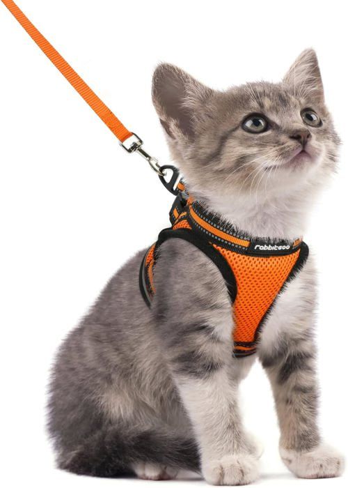 Comparer les prix de Rabbitgoo Harnais Chat Harnais pour chaton/petit chien Harnais Respirant et Bande Réfléchissante réglables -Taille M -Orange