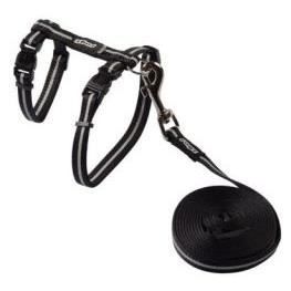 Meilleurs prix pour Harnais+ Laisse "alleycat"