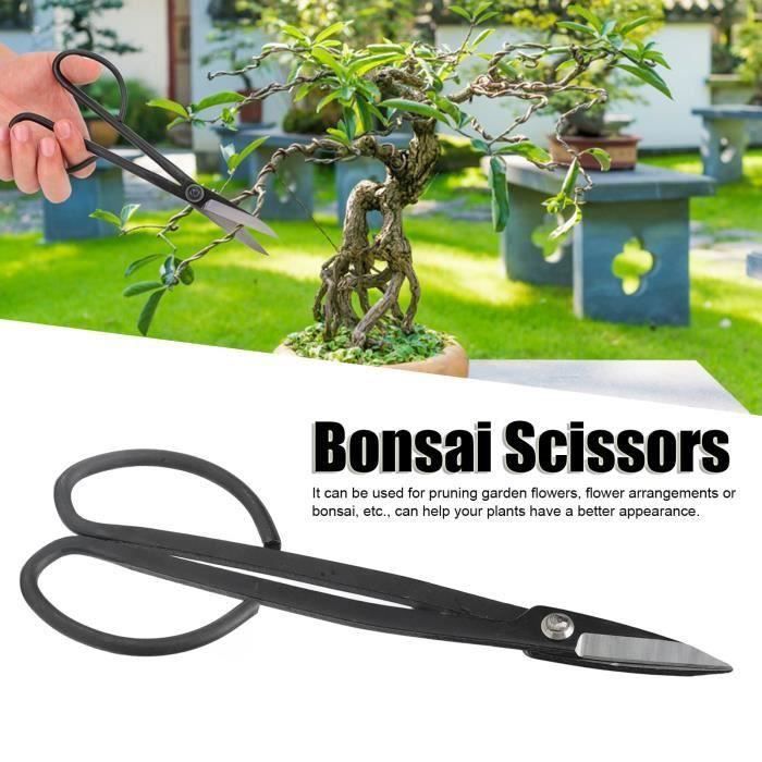 Ciseaux à Bonsaï Zefiru - Longueur 210 Mm - Lames En Acier Inoxydable Affûtées à La Main - Pour Coupes Précises De Branches Fines - Idéal Passionnés De Bonsaï