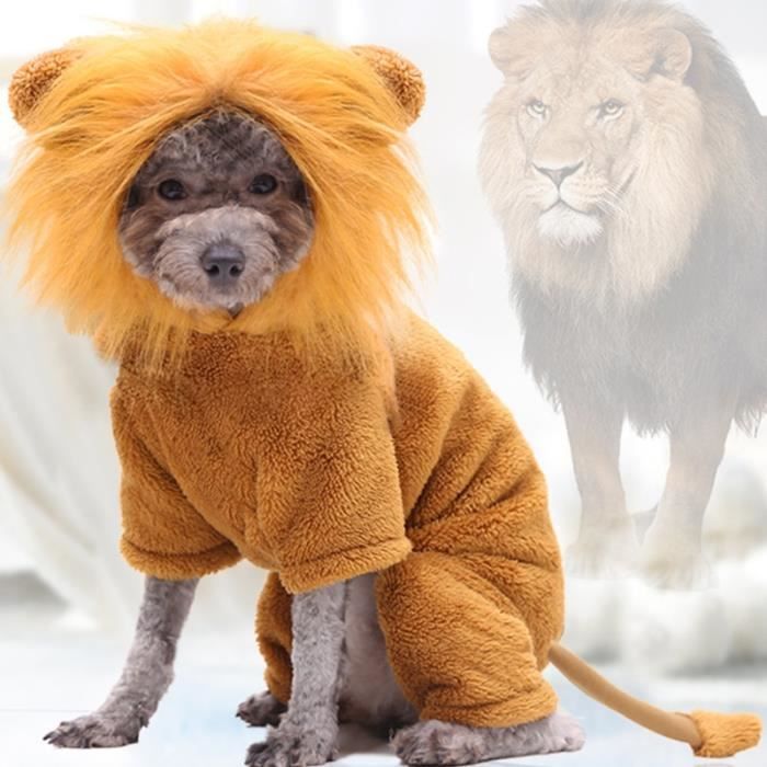 Lion king dog costume sales