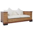 Haute qualité -Canapé droit fixe 2 places Moderne Sofa Divan Canapé de relaxation avec coussins Marron Rotin naturel 69683-0