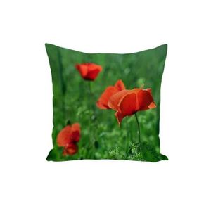 Oreiller De Champ Coquelicot MacKenzie-Childs – 36x15 – Multicolore