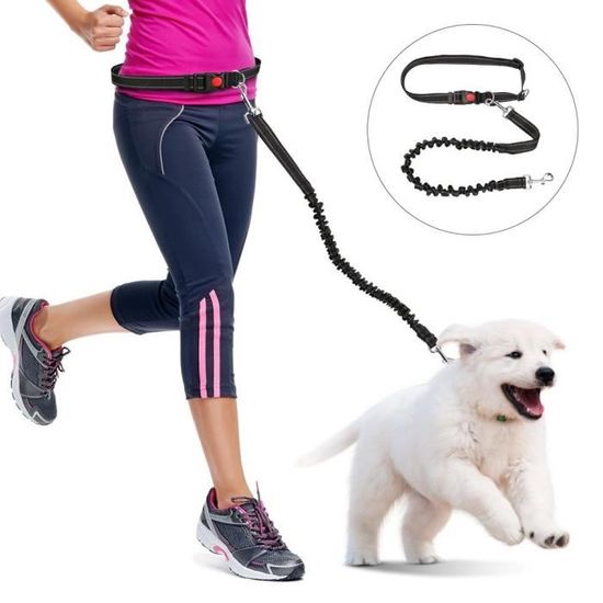 Laisse Canicross Ceinture Pour Chien - Élastique Absorbant Les Chocs, Mains Libres - Inclut Collier, Pour Chiens Moyens/grands - 4