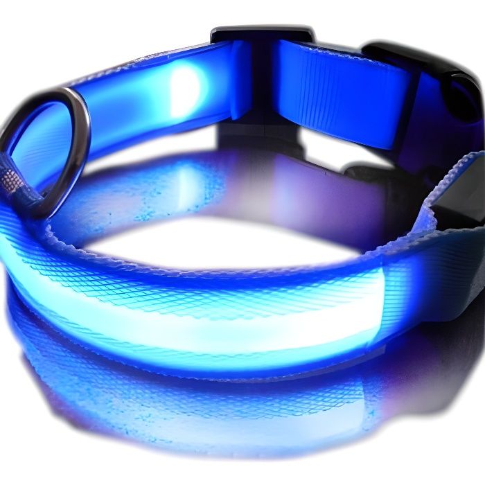 Collier LED Lumineux pour Chien Bleu / Bleu - T...
