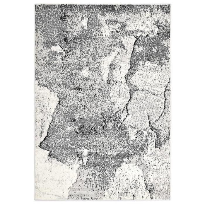 Tapis Tapis de sol Tapis de salon Gris - 120x170 cm PP