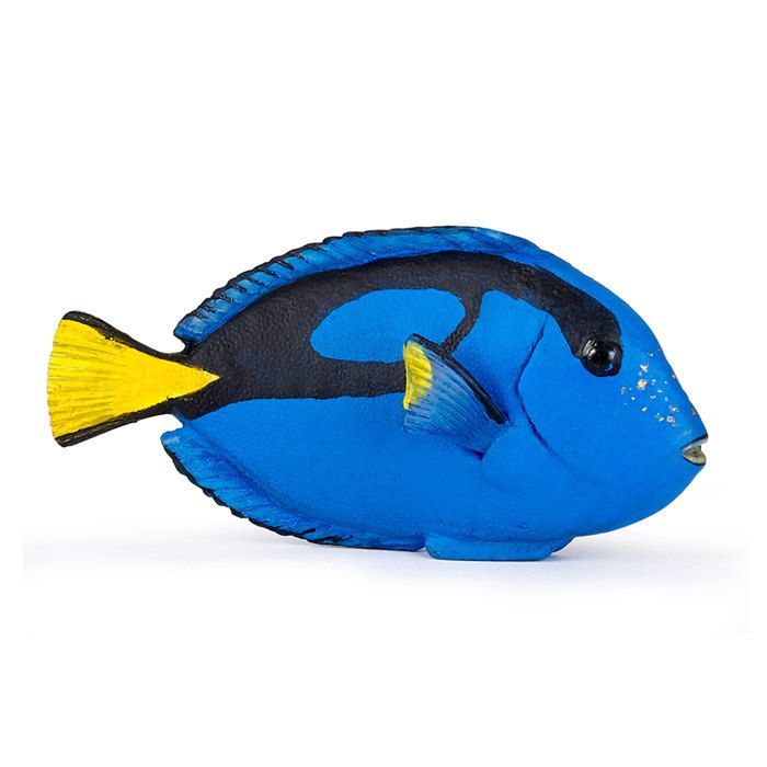 PAPO 56024 Figurine Poisson chirurgien