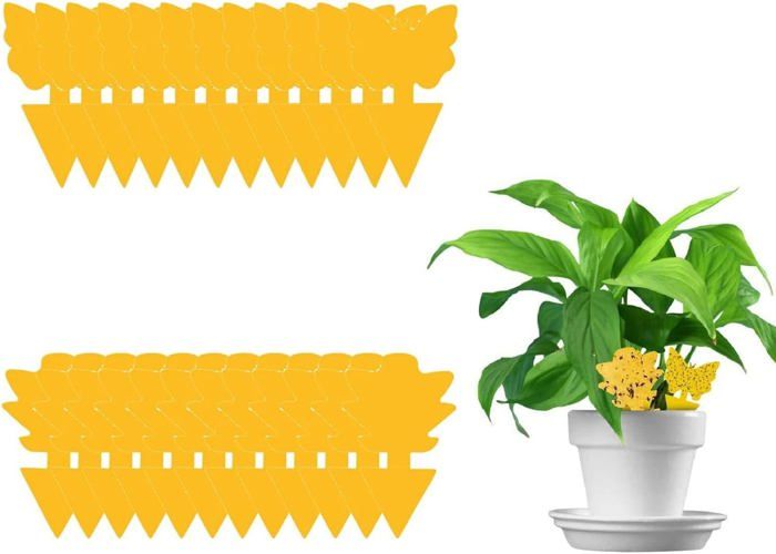 Expert Mouches – 6 Stickers Anti-mouches Décoratifs – Jaunes – Sans Odeur – Fabriqué En France