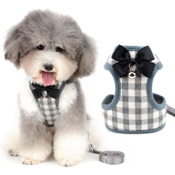 Harnais et laisse pour petit chien - ESTAMPILLE - Anti-traction - Nœud papillon - Clochette de sécurité - Réglable
