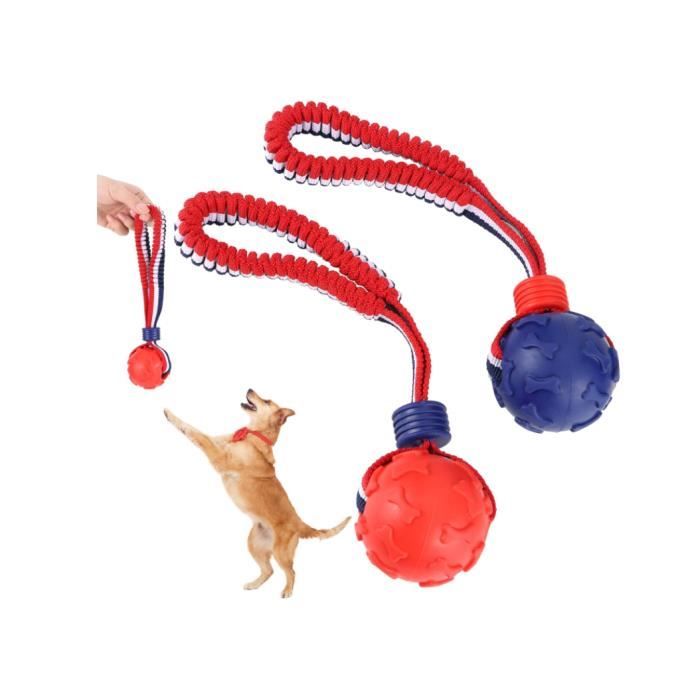 Jeu de Balle Interactif en Plastique Jouet pour Enfants avec Corde Flexible pour Intérieur Extérieur, Améliore la Coordination