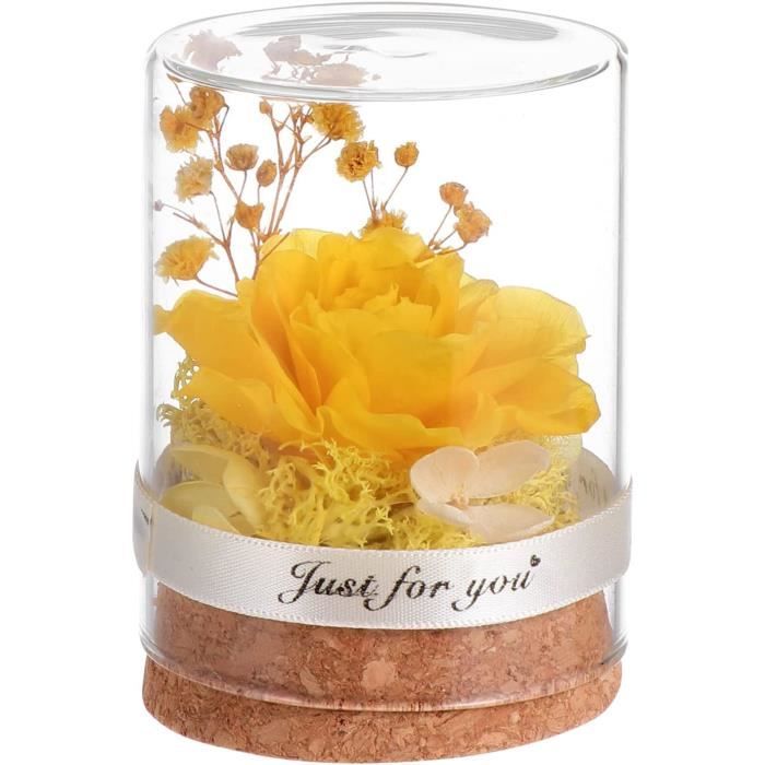 PLAQUE TOURNANTE PLATEAU De Couvercle En Verre Cloche Pour Fruits EUR PLAQUE TOURNANTE PLATEAU De Couvercle En Verre Cloche Pour Fruits EUR