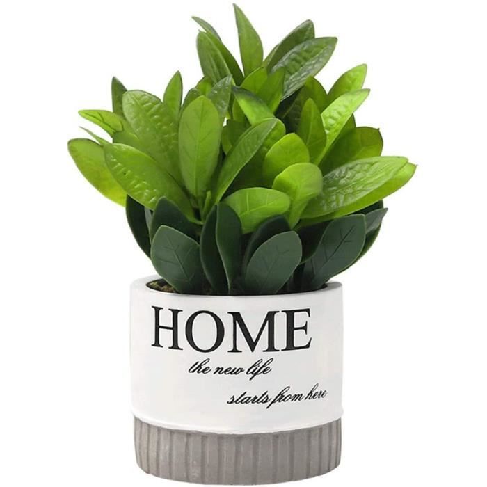 Mini Plantes en Plastique Artificielles avec Pot de Ciment Petites