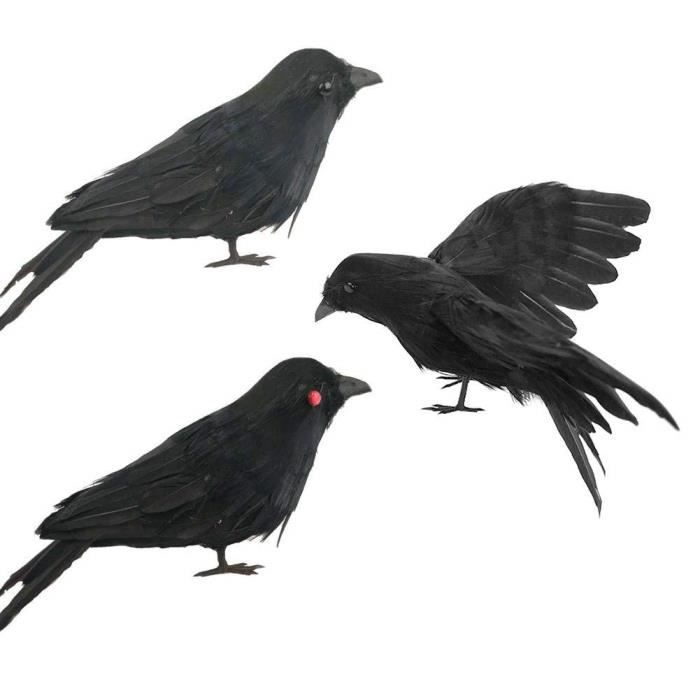 Halloween Corbeau Plume Realiste Oiseau Merle Decor Prop Fabrique A La Main 3 Types 2 Cdiscount Beaux Arts Et Loisirs Creatifs