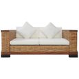 Haute qualité -Canapé droit fixe 2 places Moderne Sofa Divan Canapé de relaxation avec coussins Marron Rotin naturel 69683-2