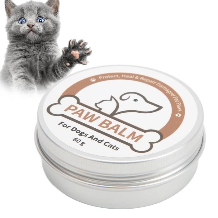 Stylos De Vernis à Ongles Pour Chien De Noël à Séchage Rapide, Emballage Spécial De Noël