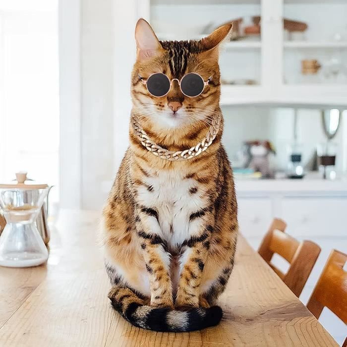 Lunette de soleil pour chat clearance