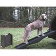 Rampé téléscopique gris 1,52m pr chien jusque 60kg-0