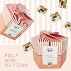 CHOCODIC Coffret de Nougats Figues / Noix de Pécan - Confiserie Artisanale