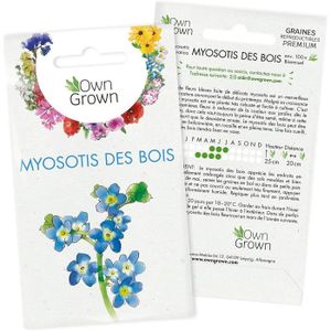 GRAINE - SEMENCE Graines de Myosotis des bois : Kit graine de fleurs vivaces pour environ 100 Myosotis - Plante jardin à semer et à faire A51