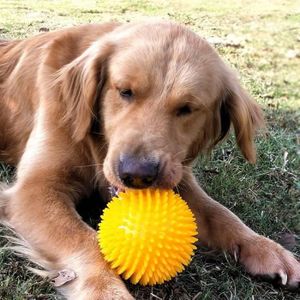Jouet Pour Chien Pour Gros Chien Avec Forme Convexe En Forme De Squelette Pour Chien Pe481