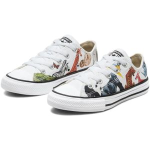 baskets converse baskets converse