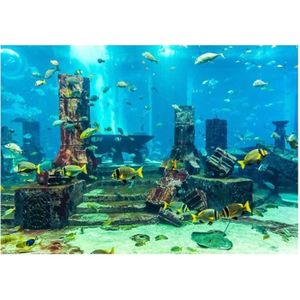 AQUARIUM VINGVO autocollant d'aquarium Affiche sous-marine de fond d'aquarium de corail autocollant de décorations murales de réservoir de