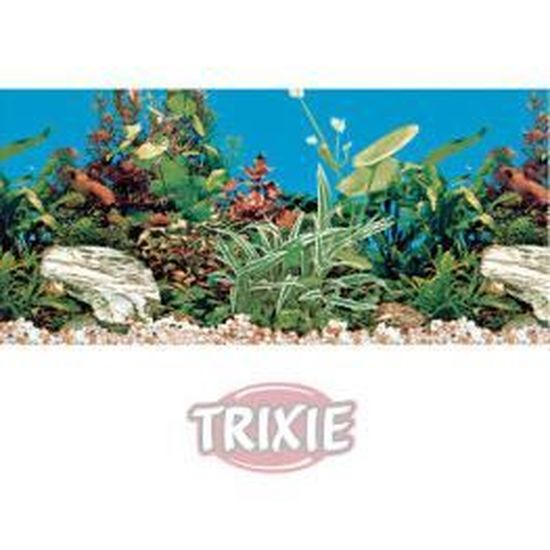 Avis Jorewood : bois flotté décoratif pour aquariums et terrariums Avis Jorewood : bois flotté décoratif pour aquariums et terrariums