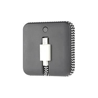 NATIVE UNION Batterie de secours Jump + Câble microUSB - Zebre