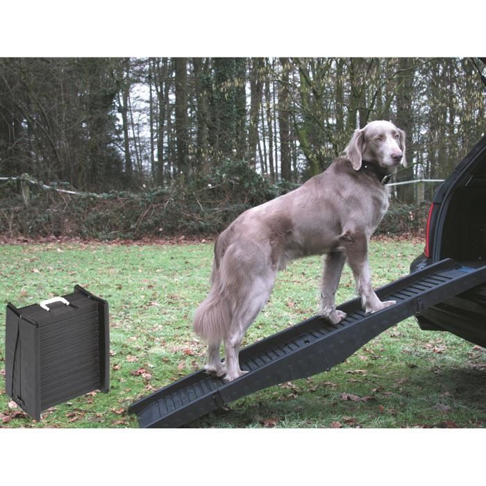 Rampé téléscopique gris 1,52m pr chien jusque 60kg