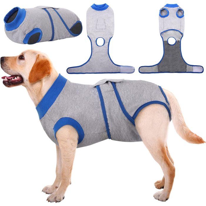 Combinaison de récupération pour chiens protection anti-léchage pour les plaies abdominales et les maladies de peau vêtement pour