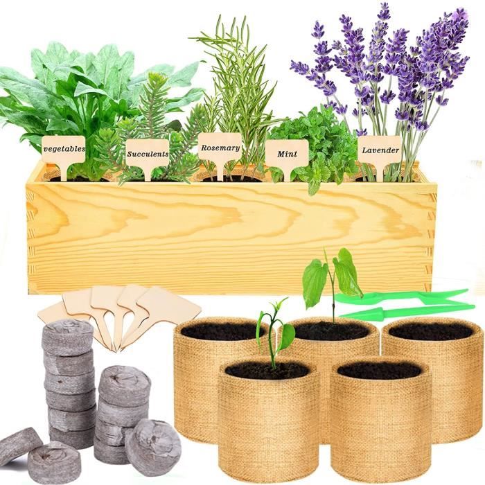 Kit de démarrage pour herbes d'intérieur – Kit de jardinage de 5 graines  d'herbes aromatiques avec pots de plantation en bambou et terreau –  Héritage