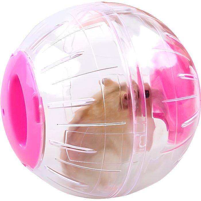 Boule Hamster,boule de gym hamsters,Ballon d'exercice de Course,Mini-Balle de Course Autour du Petit Animal de Compagnie-12cm