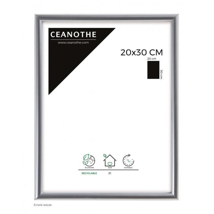 Brio Cadre Photo Argent Gallery 20x30 Cm Achat Vente Cadre Photo Plastique Cdiscount