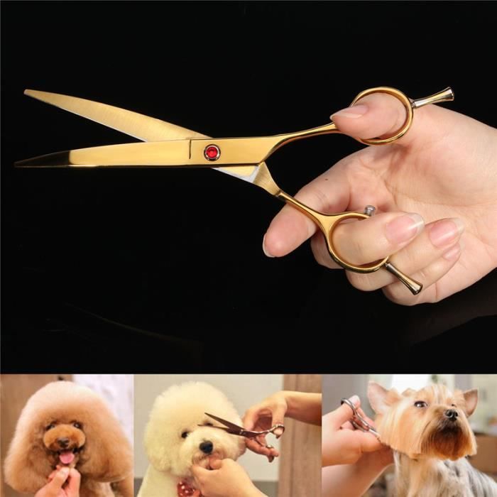 Meilleurs prix pour TEMPSA 7 '' Ciseaux tondeuse professionnel pour animaux cheveux coupe beauté