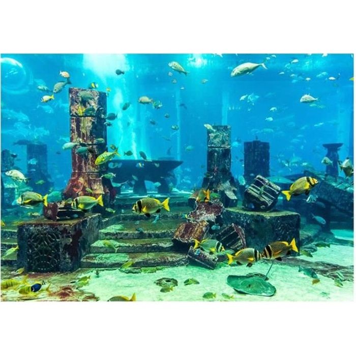 Aquarium D'eau Douce Décoration De Réservoir Banque D'Images et