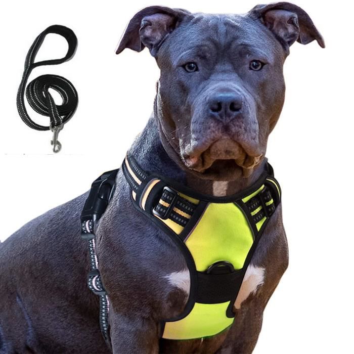 Meilleurs prix pour Harnais Chien M, Harnais Anti Traction pour Chien, Facile à Mettre, avec Poignée Contrôle, Livré avec une corde de 1,5