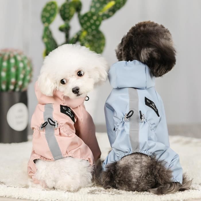 Imperméable chihuahua store